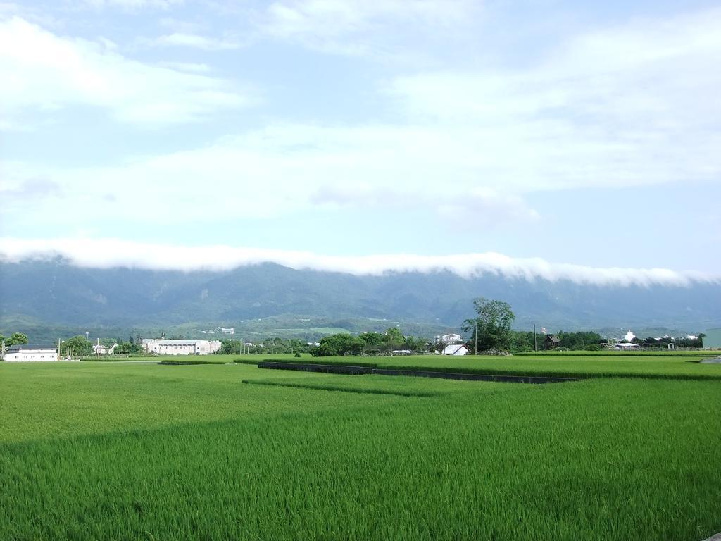 池上福吉園素食民宿 臺東縣民宿073號 請勿透過阿勾達訂房 Exterior photo